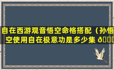 自在西游观音悟空命格搭配（孙悟空使用自在极意功是多少集 🐋 ）